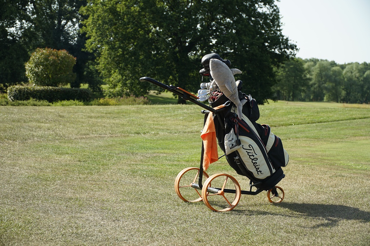 Golf découvrez les tournois de golfs les plus populaires.